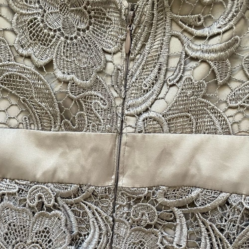 🩶New Adrianna Papell Strapless Lace Dress in Gray. Measurements in pictures. - Picture 13 of 14